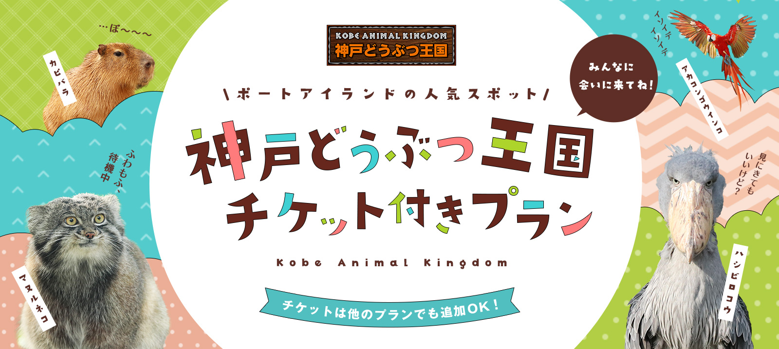 【神戸空港店限定】「神戸どうぶつ王国」のチケット付きプラン