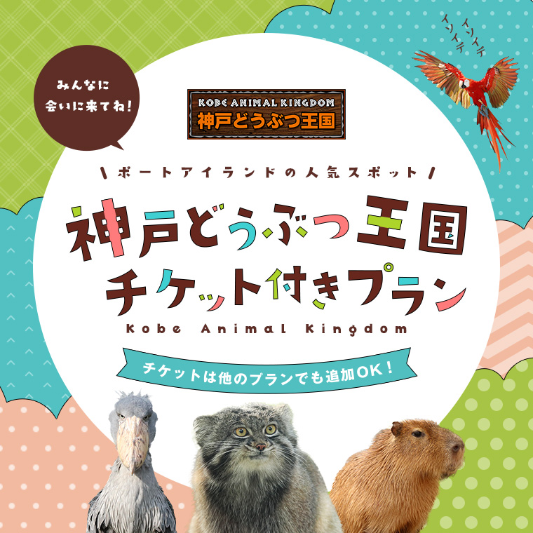 【神戸空港店限定】「神戸どうぶつ王国」のチケット付きプラン