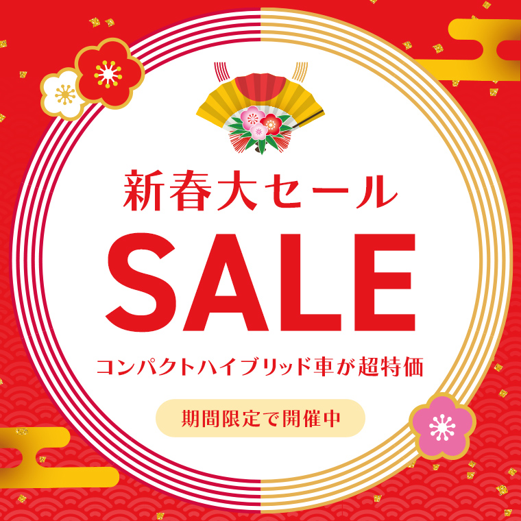 ★新春大セール★【水戸駅南口店限定】コンパクトハイブリッド超特価プラン！