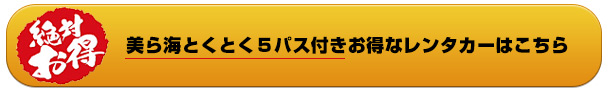 美ら海とくとく５パスチケット（美ら海水族館+４施設チケット）付きレンタカープラン